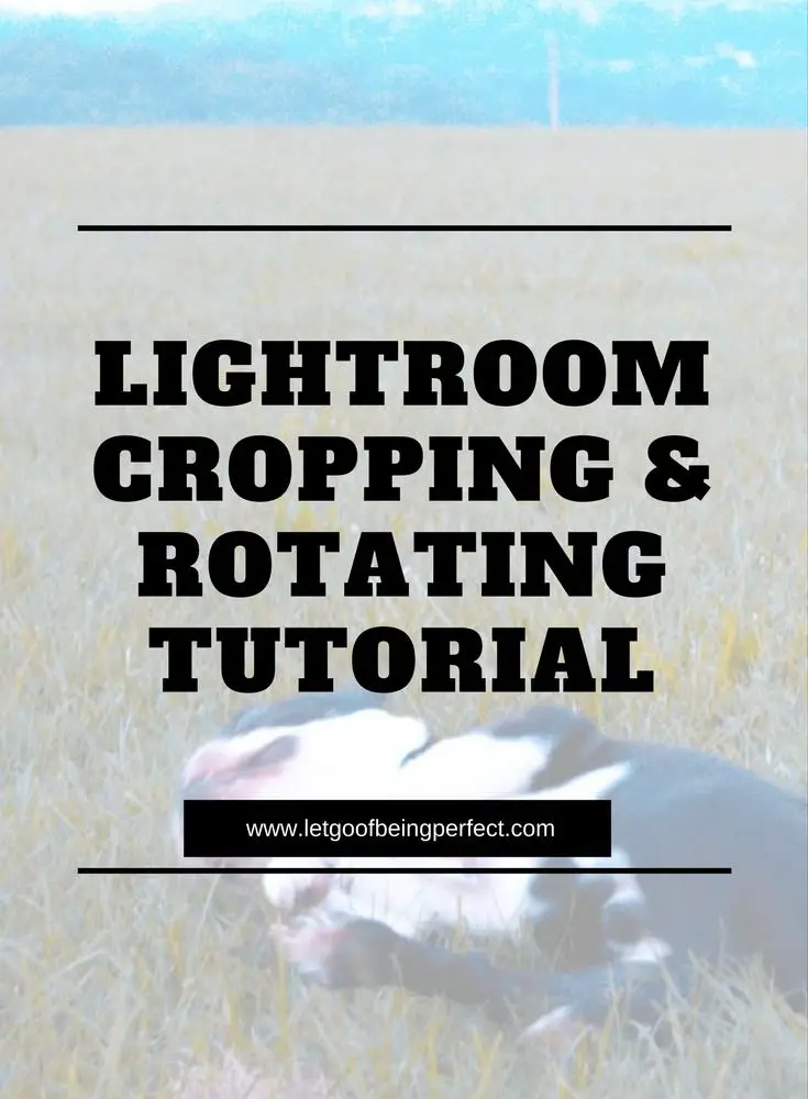 Basic Lightroom Cropping Tutorial for Enhanced Photographs Let Go of